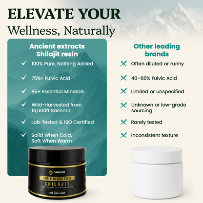 Shilajit Resin - Himalayan Gold Grade (50g)